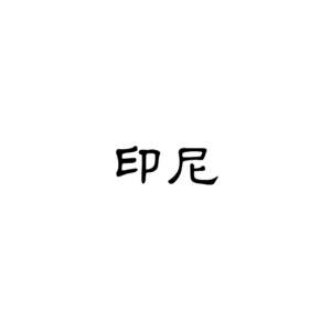印尼Tiktok短视频